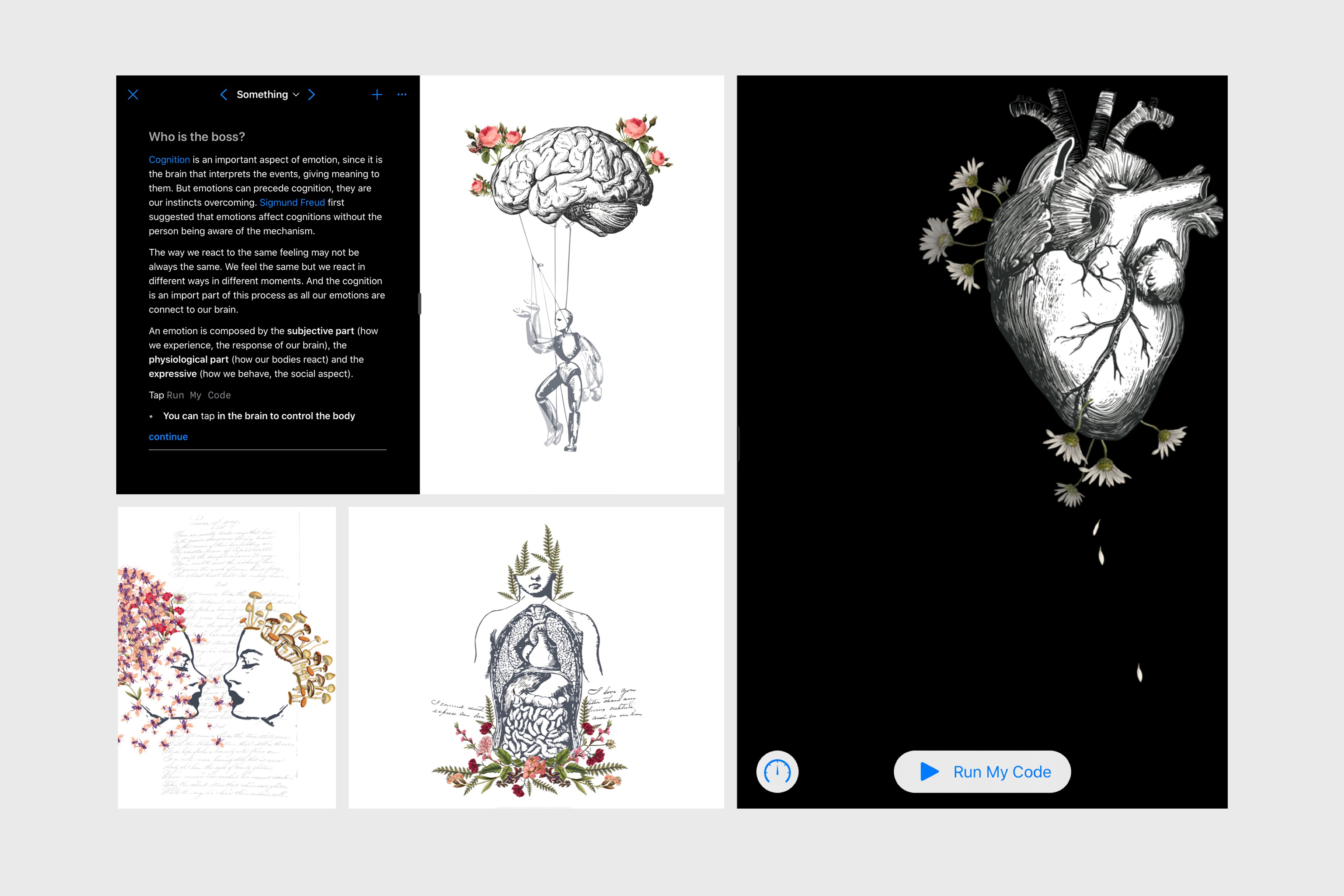Playground Book for the WWDC19 Scholarship submission
