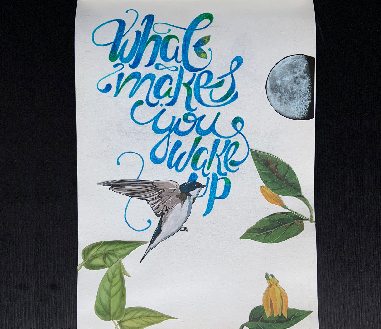 What makes you wake up lettering