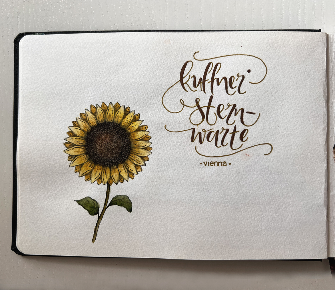 The night keeps coming lettering